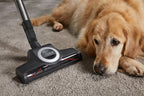 Miele Blizzard CX1 Cat & Dog SKCF5 Bagless Cylinder Vacuum Cleaner | BLIZZARDCAT&DOG