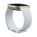Fitbit Sense 2 Smart Watch - Blue Mist/ Soft Gold