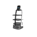 Orionstar LuckiBot - AI Delivery Robot