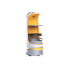 Kettybot Pro