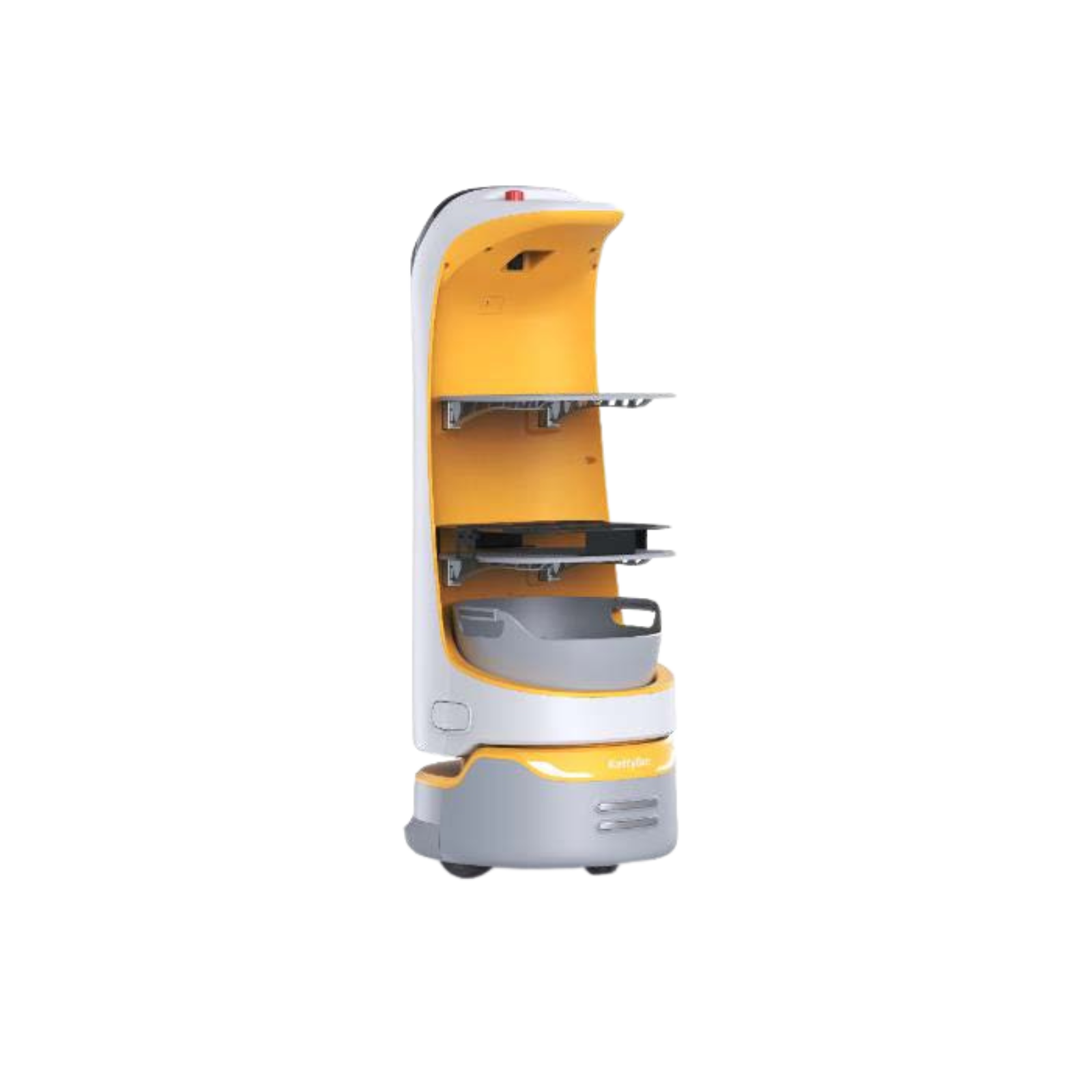 Kettybot Pro