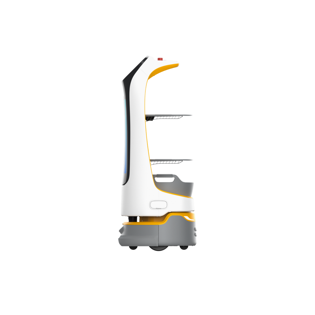 Kettybot Pro