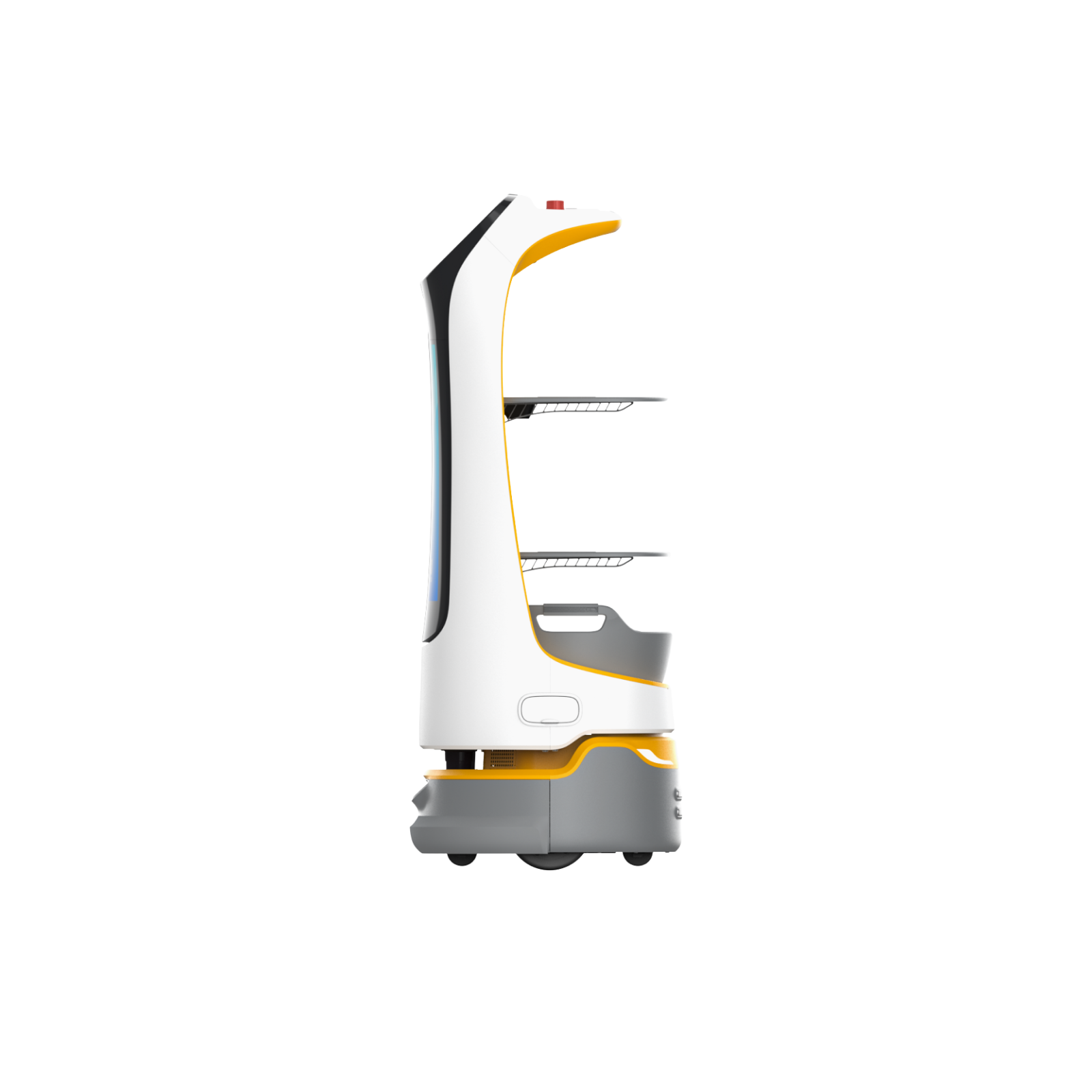 Kettybot Pro